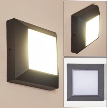 Alkmaar Aplique para exterior LED Antracita, 1 luz