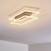Veyrier Lámpara de Techo LED Acero bruñido, 2 luces