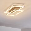 Veyrier Lámpara de Techo LED Acero bruñido, 2 luces