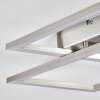 Veyrier Lámpara de Techo LED Acero bruñido, 2 luces