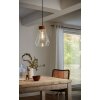 Eglo VINTAGE Lámpara suspendida Cromo, 1 luz