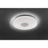 Leuchten-Direkt JONAS Lámpara de techo LED Acero bruñido, Blanca, 1 luz, Mando a distancia