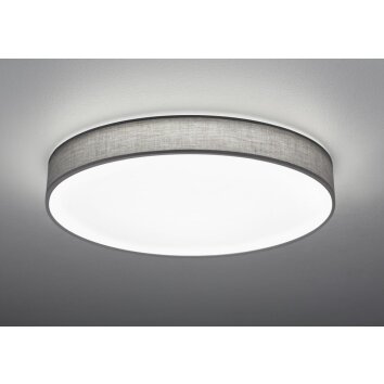 Trio LUGANO Lámpara de Techo LED Gris, 1 luz, Mando a distancia