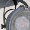 Steinhauer Mexlite Lámpara de Techo Gris, 2 luces