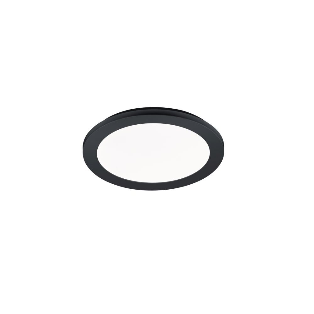 Lámpara de Techo Reality CAMILLUS LED Negro, 1 luz main product photo