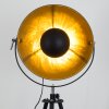 Maloy Lámpara de Pie Cromo, Negro, 1 luz