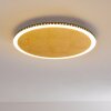 Aitrach Lámpara de Techo LED dorado, 1 luz