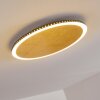 Aitrach Lámpara de Techo LED dorado, 1 luz