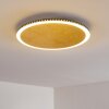 Aitrach Lámpara de Techo LED dorado, 1 luz