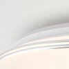 Brilliant Edna Lámpara de Techo LED Cromo, 1 luz, Mando a distancia, Cambia de color