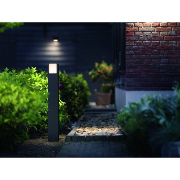 Philips myGarden ARBOUR Poste de Jardín LED Gris, 1 luz