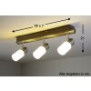 Trio 8214 Lámpara de techo LED Aluminio, Cromo, Acero inoxidable, 3 luces