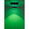 Lámpara de Techo Paul Neuhaus Q-MIA LED Antracita, 1 luz, Mando a distancia