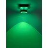 Lámpara de Techo Paul Neuhaus Q-MIA LED Antracita, 1 luz, Mando a distancia