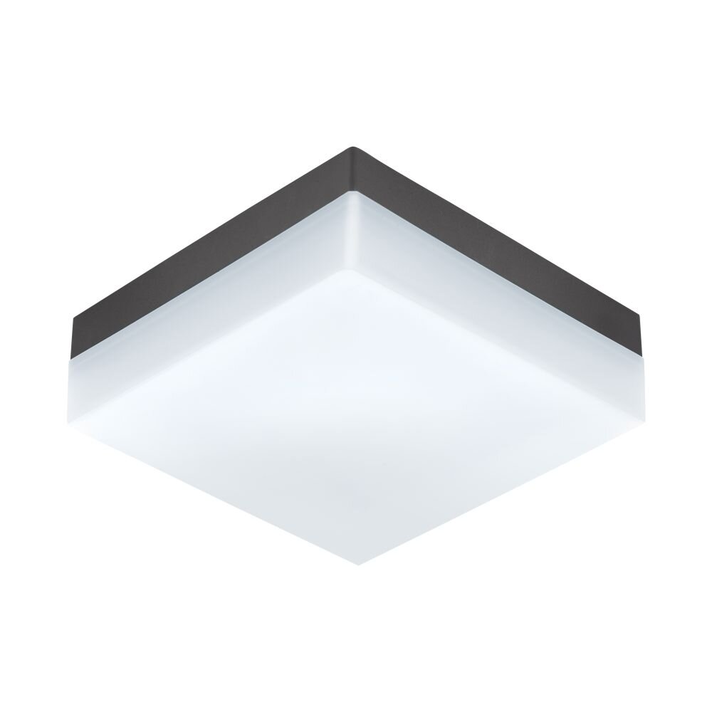 Eglo Argolis Lámpara de Exterior para Pared o Techo LED Antracita