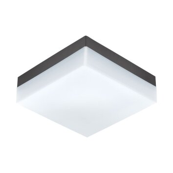 Eglo SONELLA Lámpara de Techo LED Antracita, 1 luz