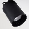 Kullaberg Lámpara de Techo Negro, 1 luz