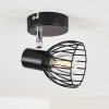 Lámpara de Techo Bolderslev Cromo, Negro, 1 luz