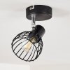 Lámpara de Techo Bolderslev Cromo, Negro, 1 luz