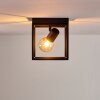 Ryssby Lámpara de Techo Negro, 1 luz