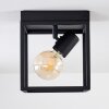 Ryssby Lámpara de Techo Negro, 1 luz