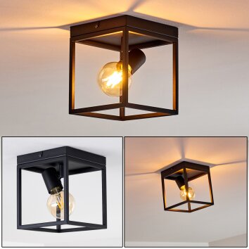 Ryssby Lámpara de Techo Negro, 1 luz