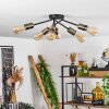 Lámpara de Techo Vestjelland Latón, Negro, 6 luces