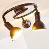Polmak Lámpara de Techo Negro-dorado, 3 luces