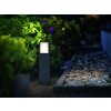 Philips myGarden ARBOUR Poste de Jardín LED Gris, 1 luz