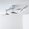 Paul Neuhaus POLINA Lámpara de techo LED Acero inoxidable, 2 luces