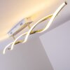 Paul Neuhaus POLINA Lámpara de techo LED Acero inoxidable, 2 luces