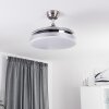 Bendigo Ventilador de techo LED Cromo, 1 luz