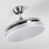 Bendigo Ventilador de techo LED Cromo, 1 luz