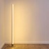 Pipe Lámpara de Pie LED Níquel-mate, 1 luz, Mando a distancia, Cambia de color