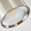 Kristallo Lámpara de Techo LED Níquel-mate, 1 luz