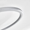 Lithgow Lámpara de Techo LED Plata, 1 luz