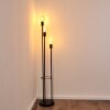 Maidford Lámpara de Pie Negro, 3 luces Maidford Lámpara de Pie Negro, 3 luces