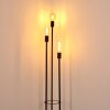 Maidford Lámpara de Pie Negro, 3 luces Maidford Lámpara de Pie Negro, 3 luces