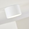 Kristallo Lámpara de Techo LED Blanca, 1 luz