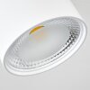 Kristallo Lámpara de Techo LED Blanca, 1 luz
