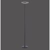 Leuchten-Direkt HANS Lámpara de Pie LED Negro, 1 luz