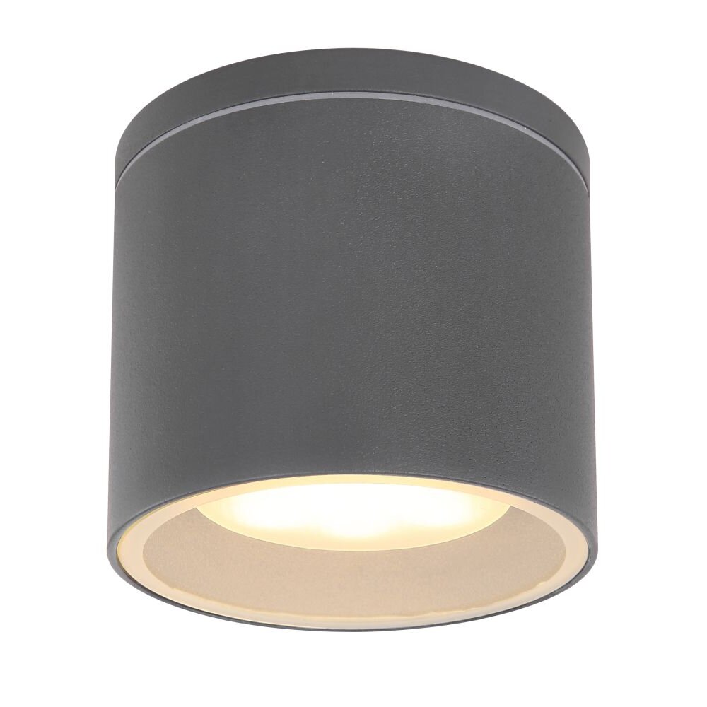 Lámpara de techo para exterior Globo ALCALA Antracita, 1 luz main product photo