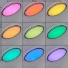 Vejle Lámpara de Techo LED Blanca, 2 luces, Cambia de color