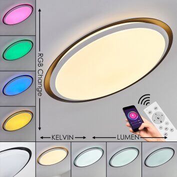 Vejle Lámpara de Techo LED Blanca, 2 luces, Cambia de color