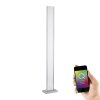 Paul Neuhaus Q-ROSA Lámpara de Pie LED Acero inoxidable, 1 luz, Mando a distancia