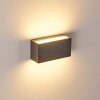 Duluth Aplique para exterior LED Antracita, 1 luz