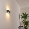 Duluth Aplique para exterior LED Antracita, 1 luz