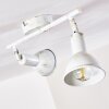 Polmak Foco de techo dorado, Blanca, 2 luces