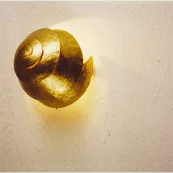 Holländer SNAIL ONE Aplique dorado, 1 luz