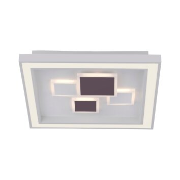 Lámpara de Techo Paul Neuhaus ELIZA LED Blanca, 1 luz